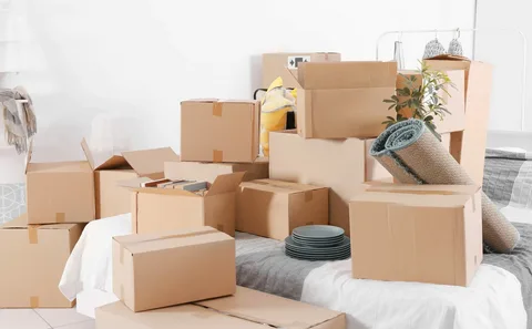 Movers In Dubai